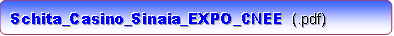 EXPO_CNEE_Schita_Casino_Sinaia-II